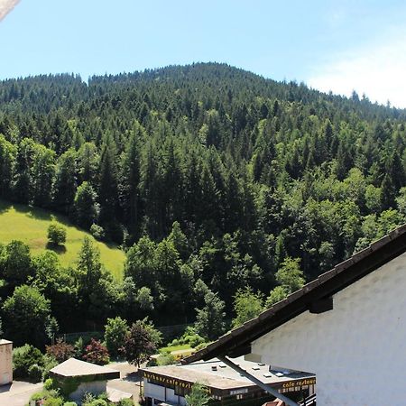 Ferienwohnung Schwarzwaldblick Bad Rippoldsau-Schapbach Dış mekan fotoğraf