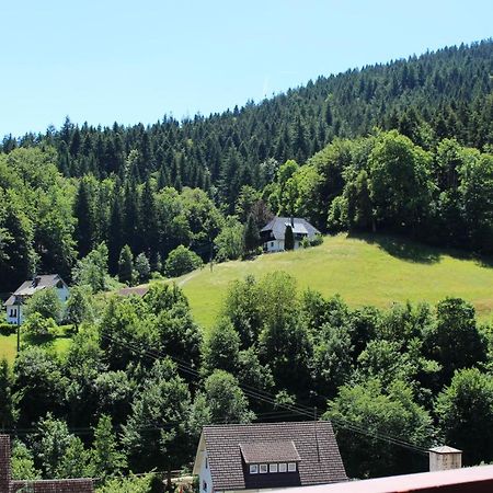 Ferienwohnung Schwarzwaldblick Bad Rippoldsau-Schapbach Dış mekan fotoğraf