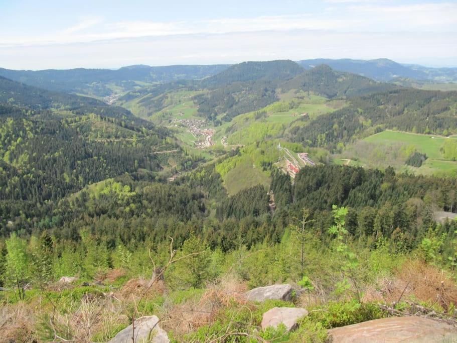 Ferienwohnung Schwarzwaldblick Bad Rippoldsau-Schapbach Dış mekan fotoğraf