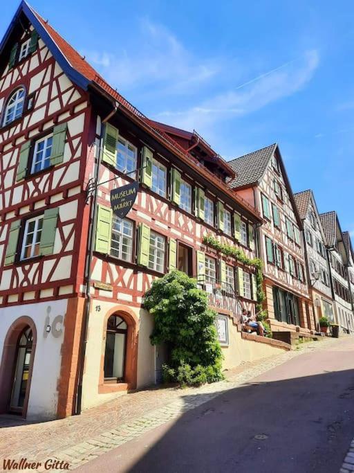 Ferienwohnung Schwarzwaldblick Bad Rippoldsau-Schapbach Dış mekan fotoğraf