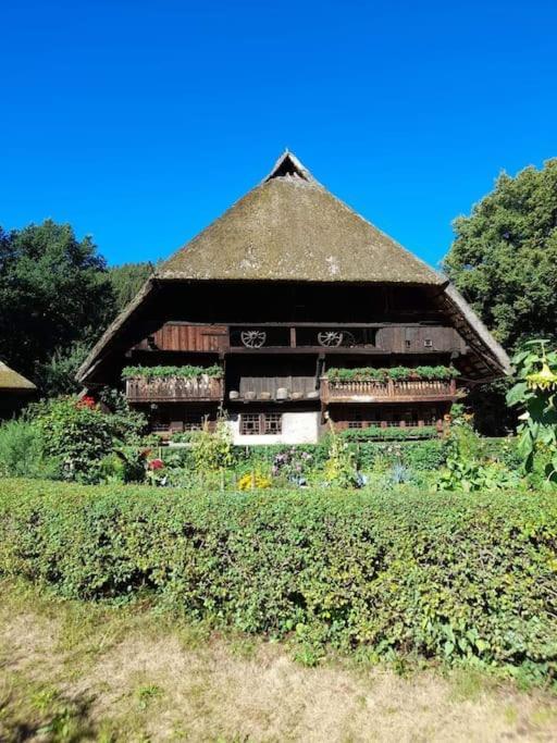 Ferienwohnung Schwarzwaldblick Bad Rippoldsau-Schapbach Dış mekan fotoğraf