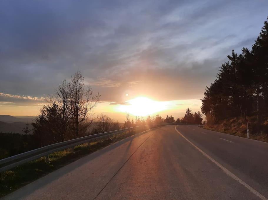 Ferienwohnung Schwarzwaldblick Bad Rippoldsau-Schapbach Dış mekan fotoğraf