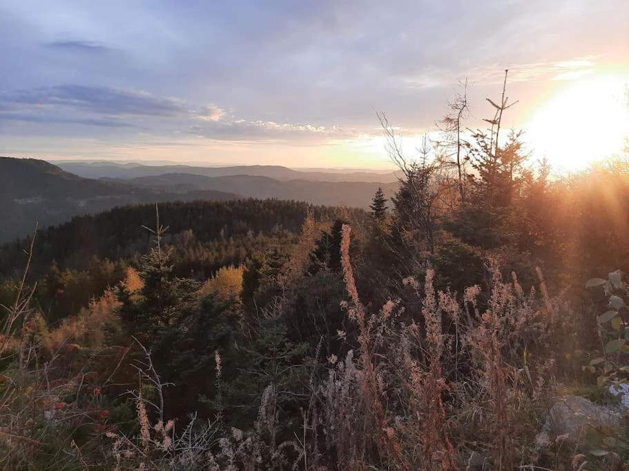 Ferienwohnung Schwarzwaldblick Bad Rippoldsau-Schapbach Dış mekan fotoğraf