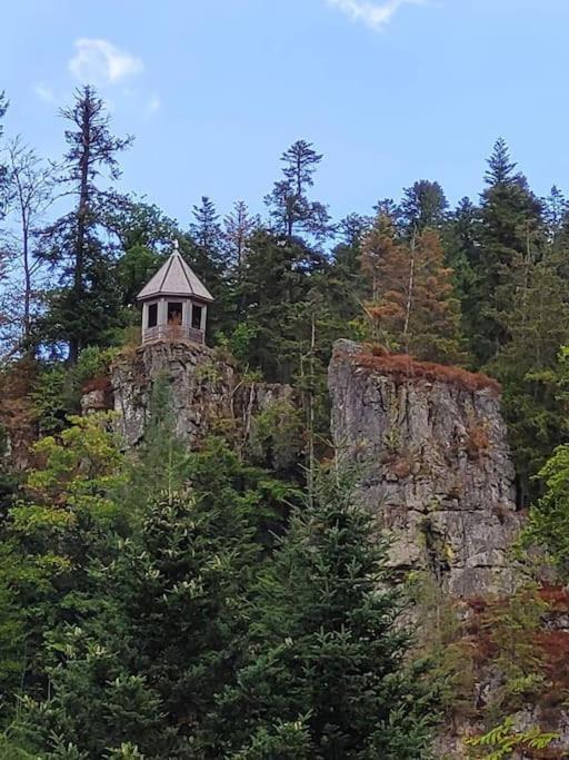 Ferienwohnung Schwarzwaldblick Bad Rippoldsau-Schapbach Dış mekan fotoğraf