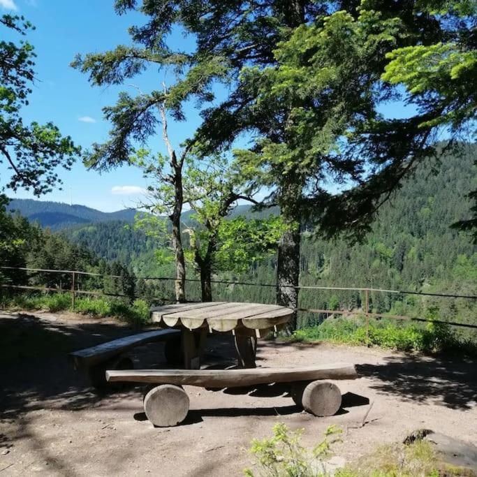 Ferienwohnung Schwarzwaldblick Bad Rippoldsau-Schapbach Dış mekan fotoğraf