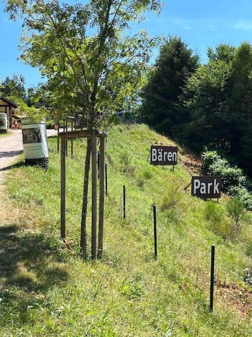 Ferienwohnung Schwarzwaldblick Bad Rippoldsau-Schapbach Dış mekan fotoğraf