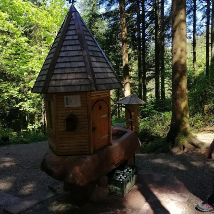 Ferienwohnung Schwarzwaldblick Bad Rippoldsau-Schapbach Dış mekan fotoğraf