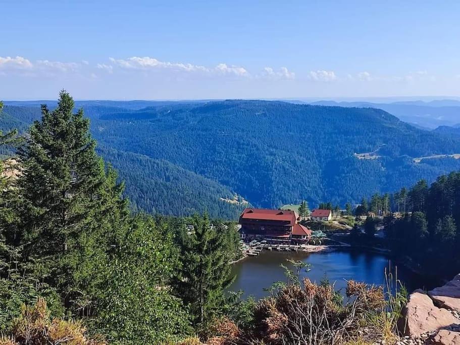 Ferienwohnung Schwarzwaldblick Bad Rippoldsau-Schapbach Dış mekan fotoğraf