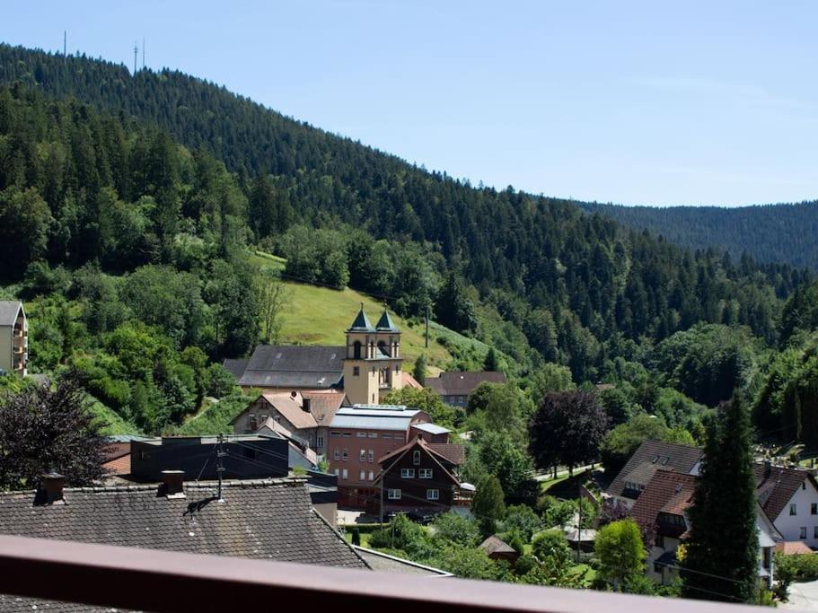 Ferienwohnung Schwarzwaldblick Bad Rippoldsau-Schapbach Dış mekan fotoğraf