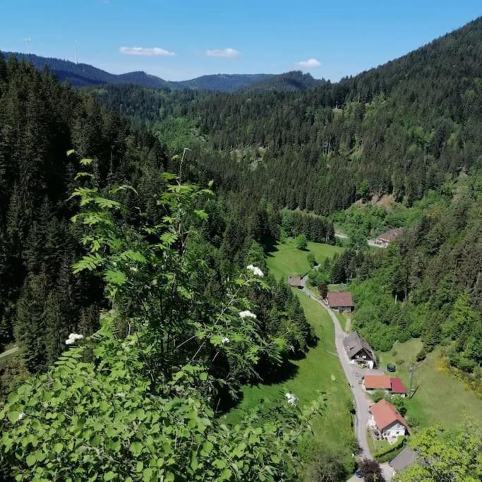 Ferienwohnung Schwarzwaldblick Bad Rippoldsau-Schapbach Dış mekan fotoğraf