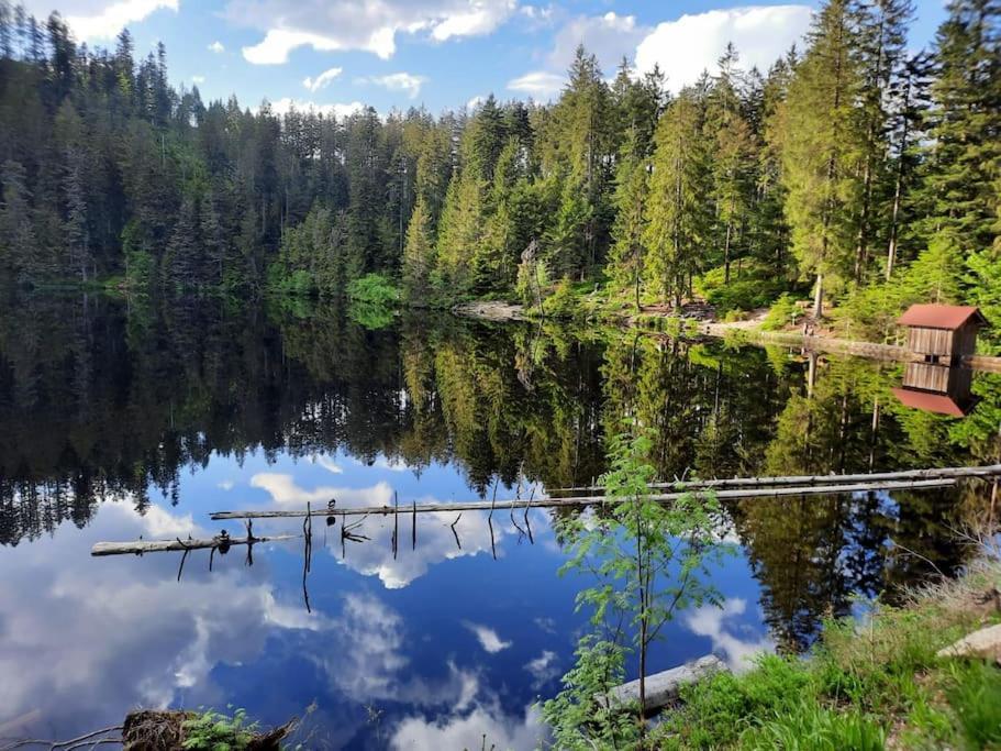 Ferienwohnung Schwarzwaldblick Bad Rippoldsau-Schapbach Dış mekan fotoğraf