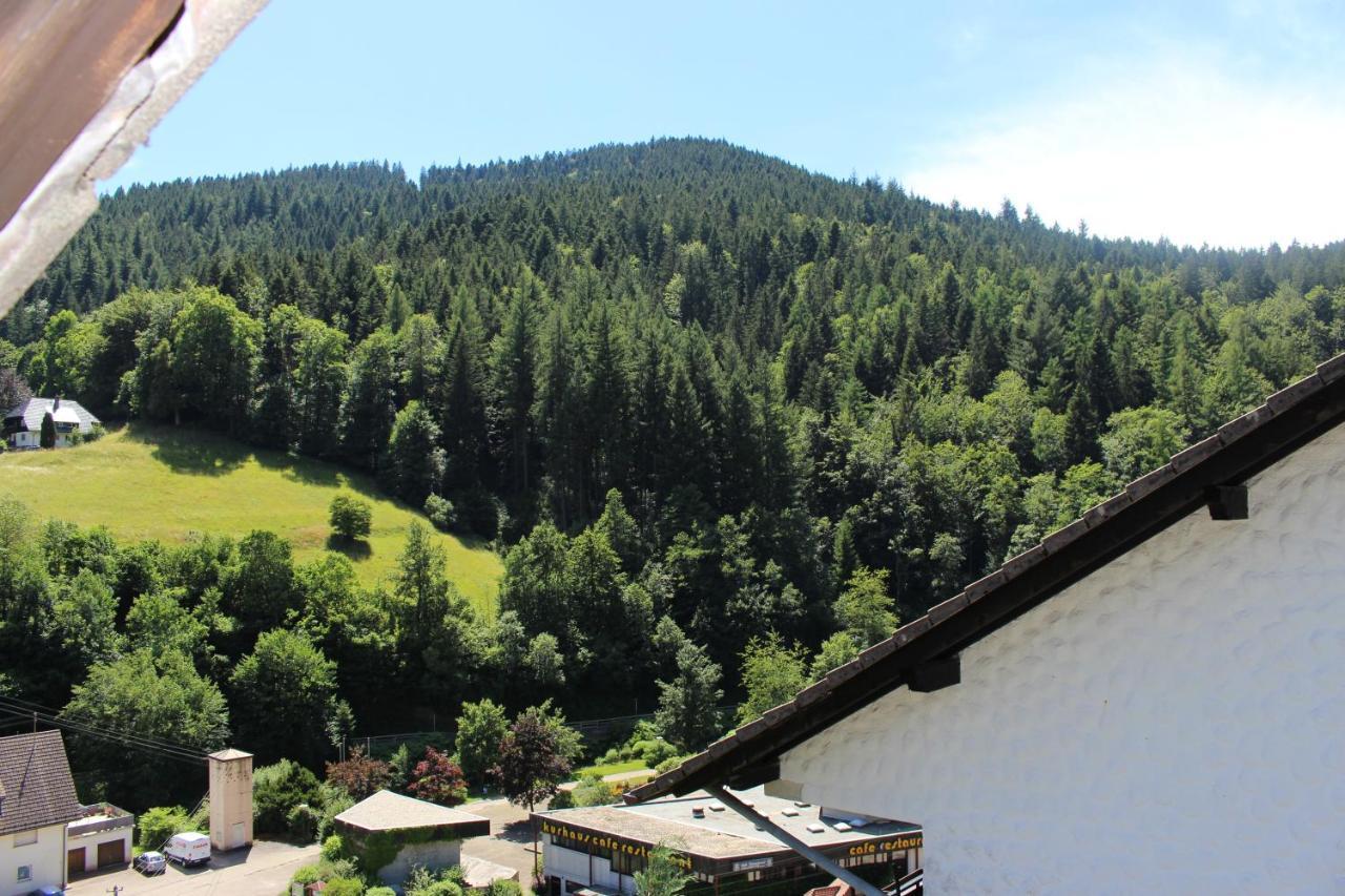 Ferienwohnung Schwarzwaldblick Bad Rippoldsau-Schapbach Dış mekan fotoğraf