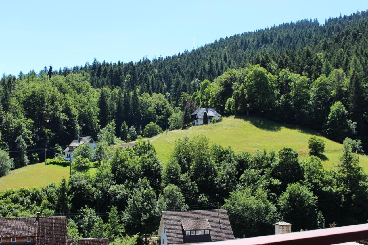 Ferienwohnung Schwarzwaldblick Bad Rippoldsau-Schapbach Dış mekan fotoğraf